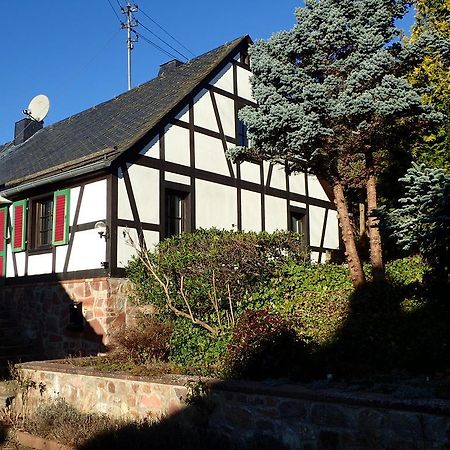 Vakantiehuis Hunsrueck Leisel ภายนอก รูปภาพ