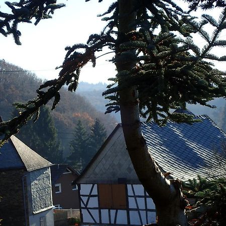 Vakantiehuis Hunsrueck Leisel ภายนอก รูปภาพ