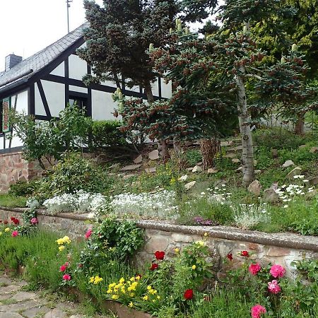 Vakantiehuis Hunsrueck Leisel ภายนอก รูปภาพ