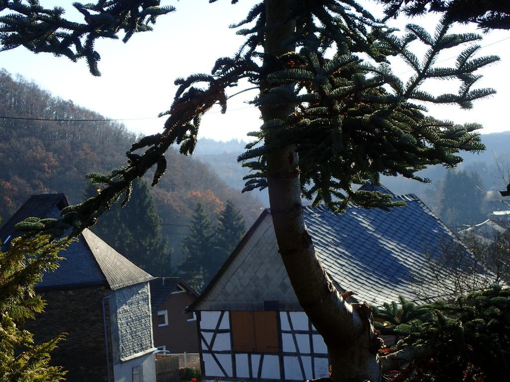 Vakantiehuis Hunsrueck Leisel ภายนอก รูปภาพ